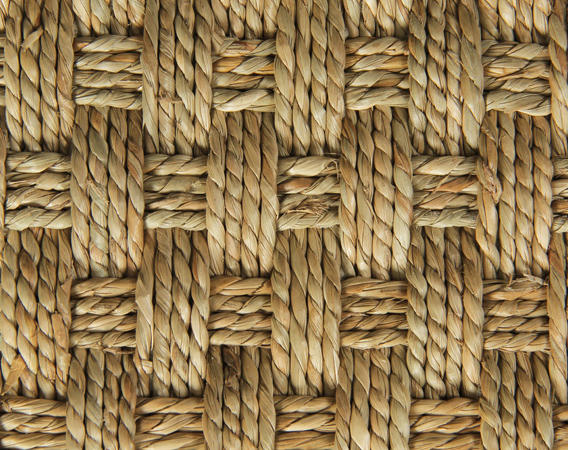 Seagrass Carpet
